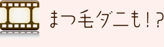 まつ毛ダ二も!?