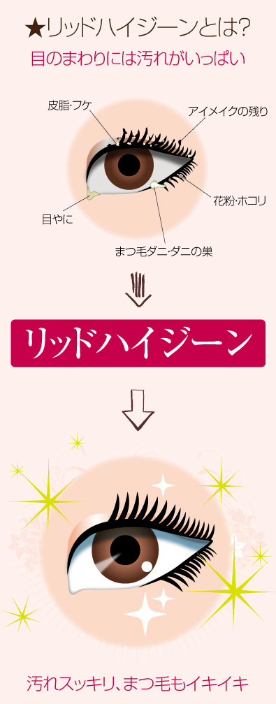   まつ毛ダニは顔ダニの一種で、まつ毛の毛根に棲みつきます。目もとが汚れていると繁殖して、アレルギー反応を起こしたり、かゆみや炎症を引き起して、腫れるなどのトラブルや、まつ毛が抜けやすくなることも。「最近まつ毛が抜けやすくなった」と感じる方は、まつ毛ダニが原因かもしれません。