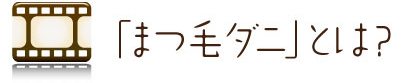 「まつ毛ダニ」とは？